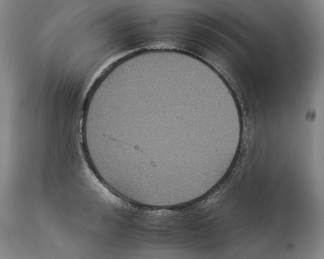 X0000112930992200910051127