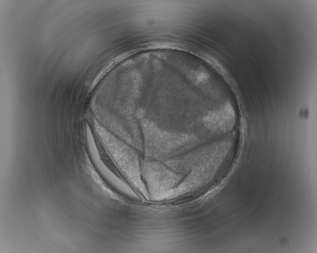 X0000112930993200910051127