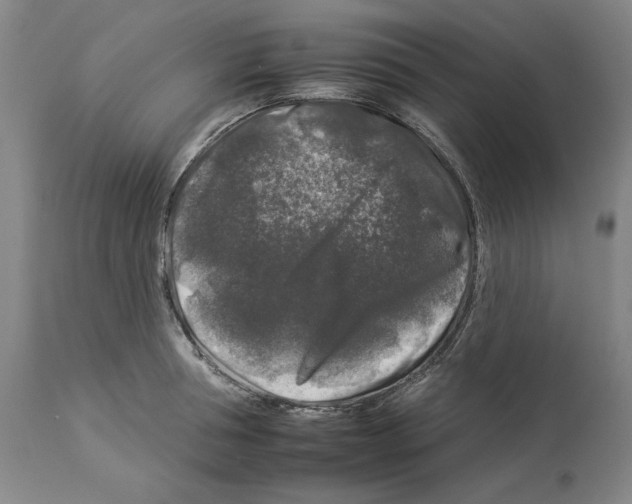 X0000112930994200910051127