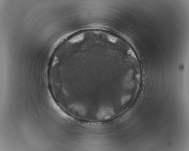 X0000112930995200910051127