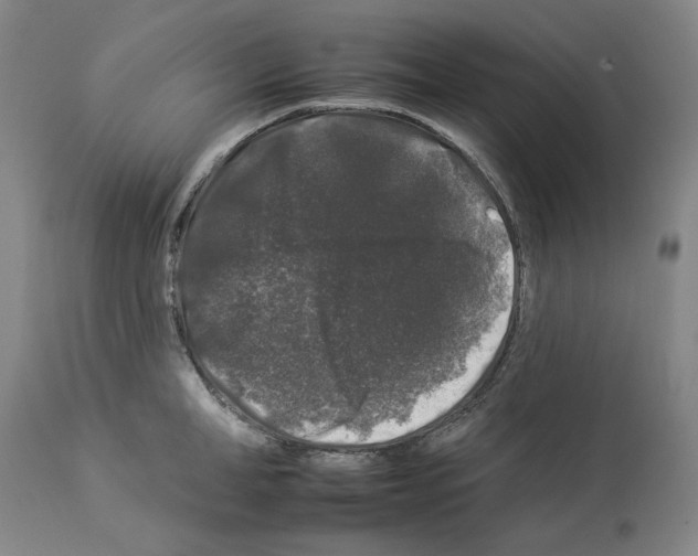 X0000112930998200910051127