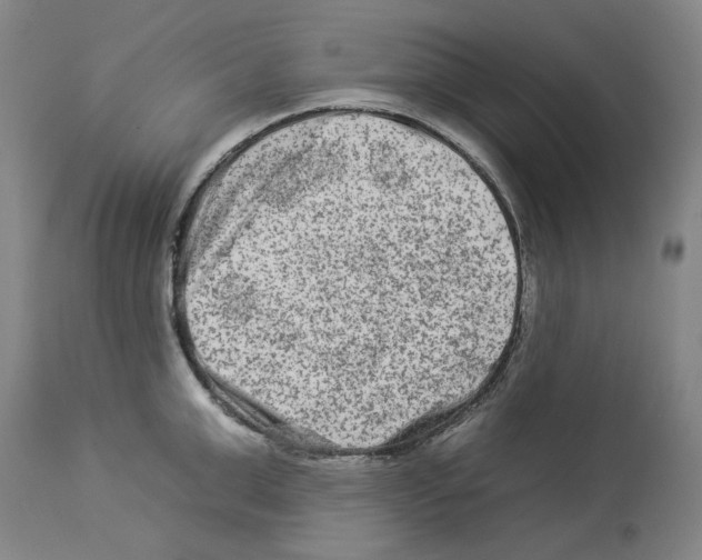 X0000112930999200910051127