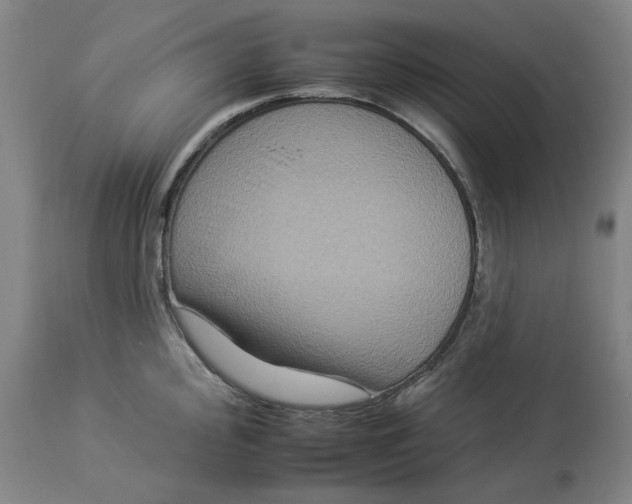 X0000112931000200910051127