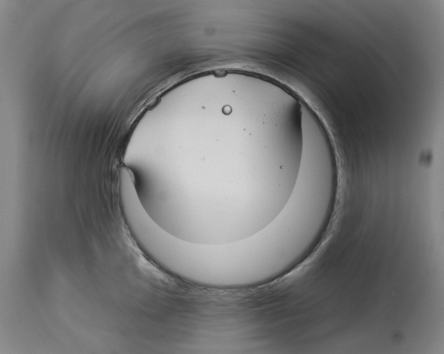 X0000112931001200910051127