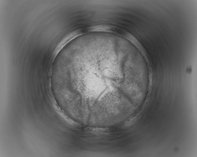 X0000112931002200910051127