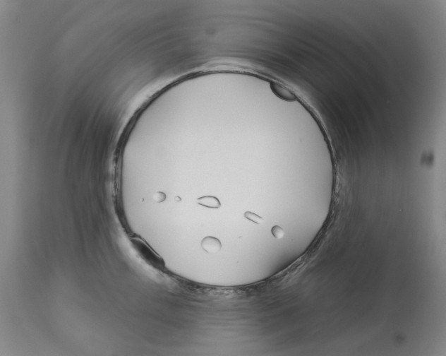 X0000112931003200910051127