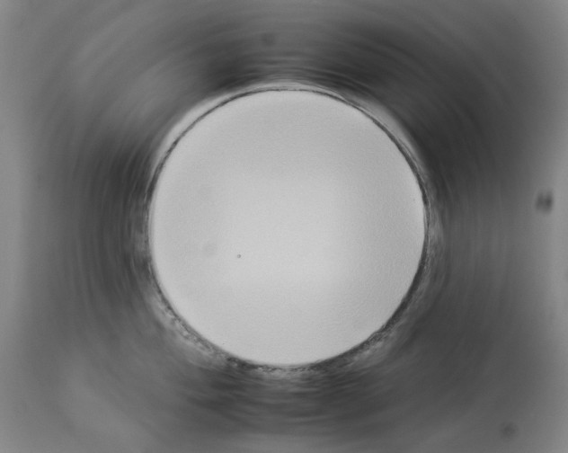 X0000112931004200910051127