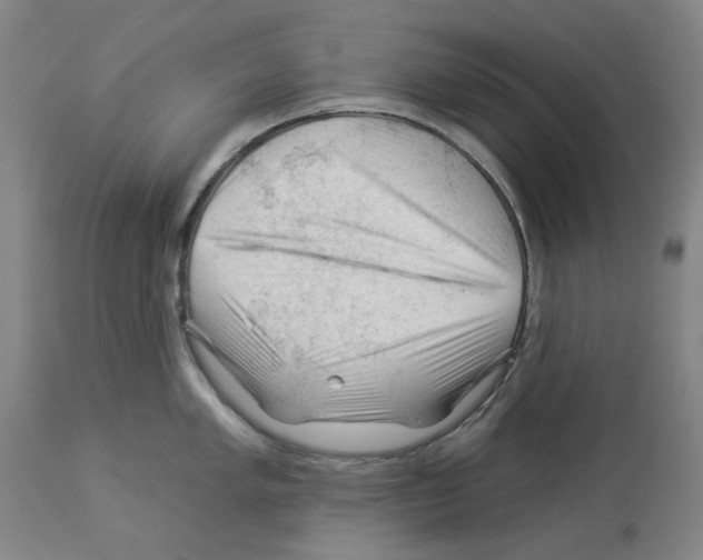 X0000112931005200910051127