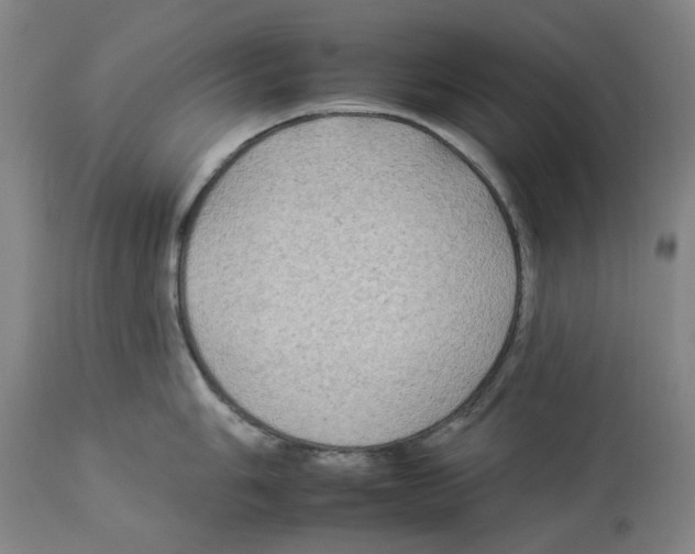 X0000112931006200910051127