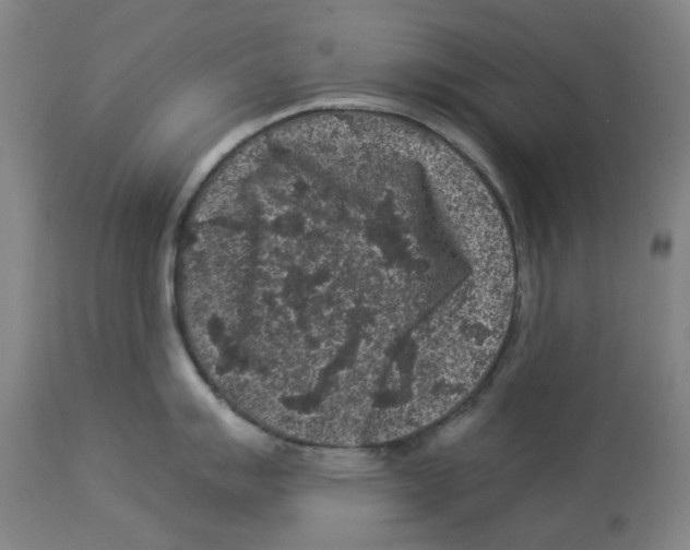 X0000112931007200910051127