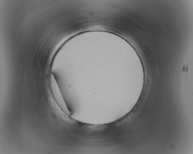 X0000112931008200910051127