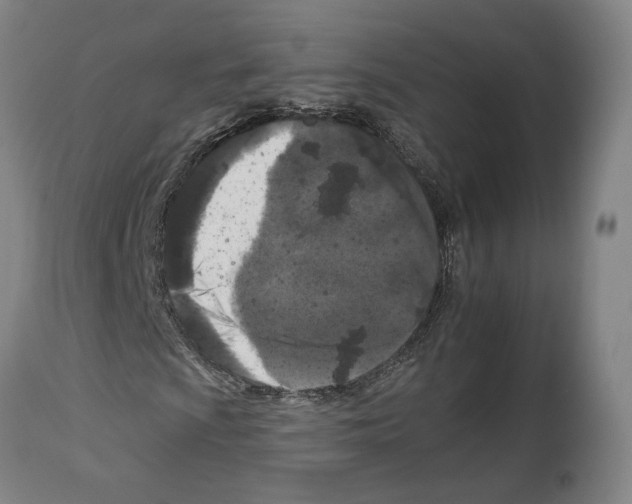 X0000112931009200910051126