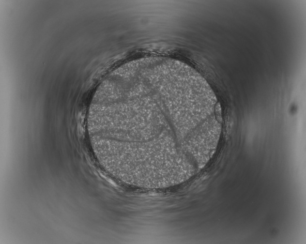 X0000112931010200910051126