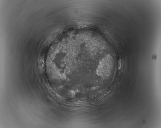 X0000112931011200910051126
