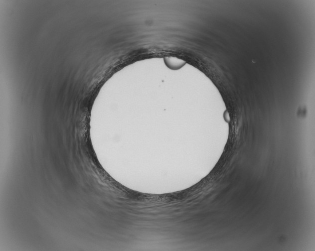 X0000112931012200910051126