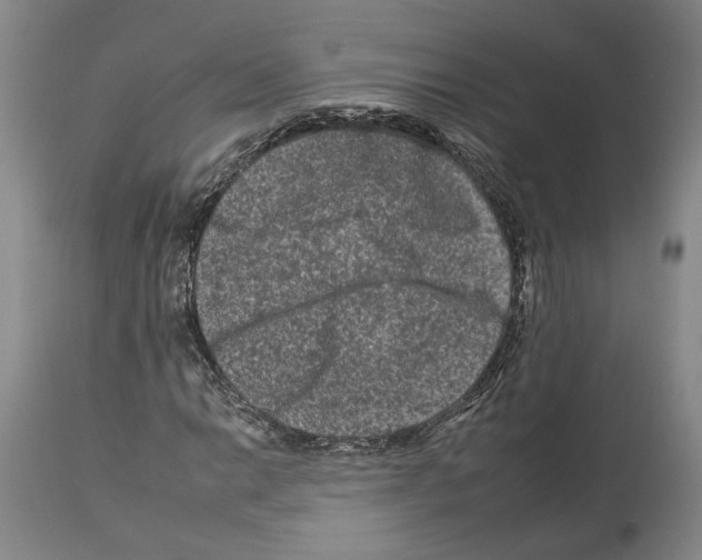 X0000112931014200910051126