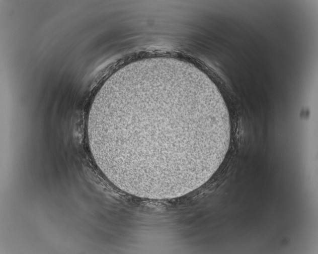 X0000112931015200910051126