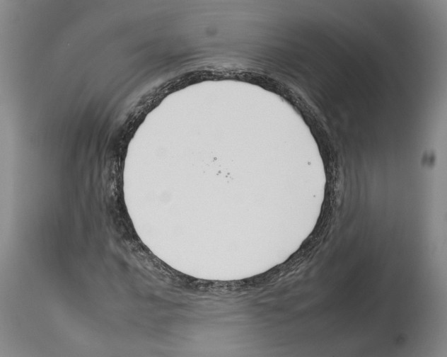 X0000112931016200910051126
