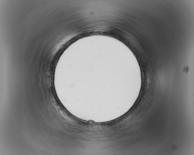 X0000112931018200910051126