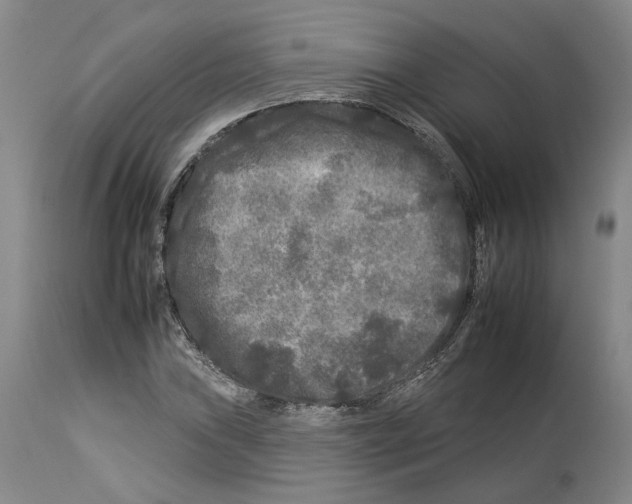 X0000112931019200910051126