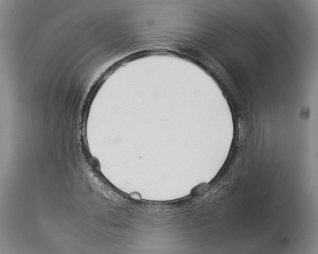 X0000112931020200910051126