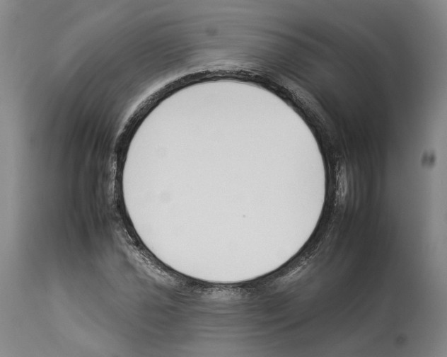 X0000112931021200910051126