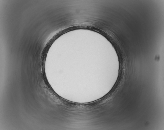 X0000112931022200910051126