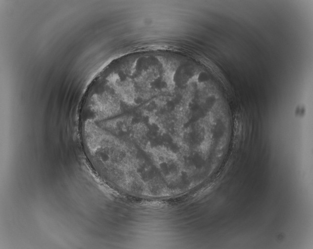 X0000112931023200910051126