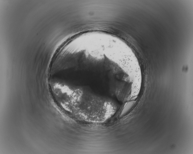 X0000112931024200910051126