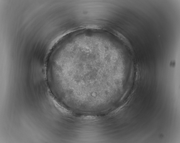 X0000112931027200910051126