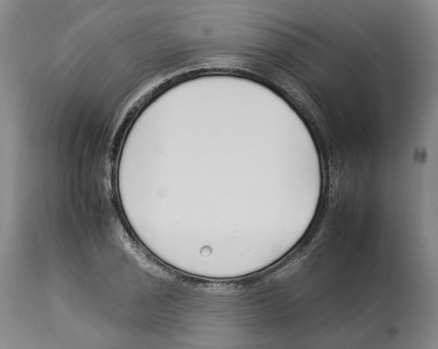 X0000112931029200910051127