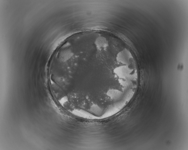 X0000112931031200910051127