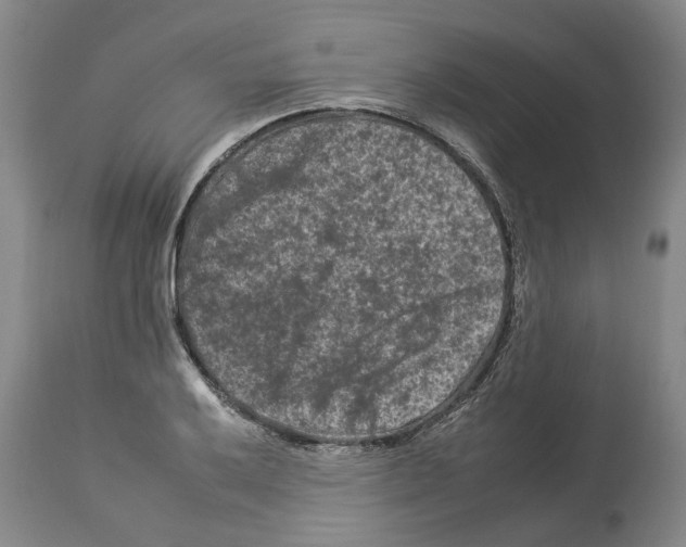 X0000112931032200910051127