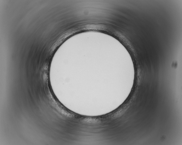 X0000112931033200910051127