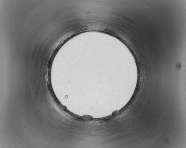 X0000112931034200910051127