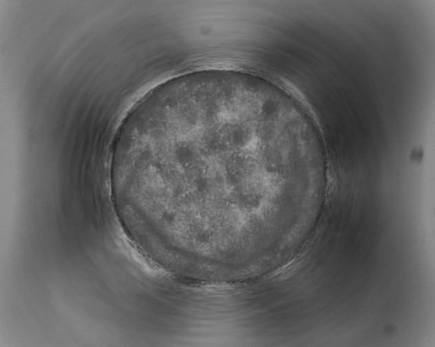 X0000112931035200910051127