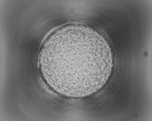 X0000112931036200910051127