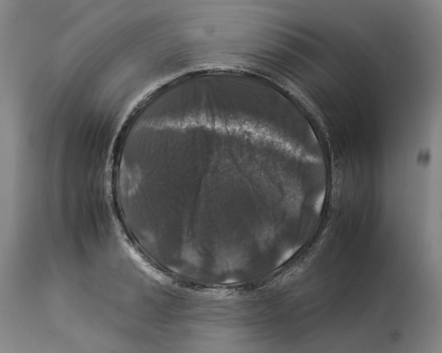 X0000112931037200910051127