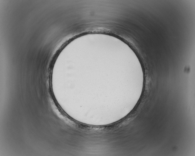 X0000112931038200910051127