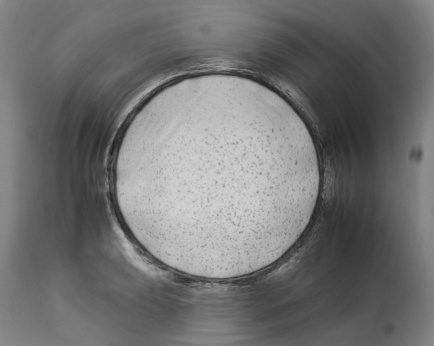 X0000112931039200910051127