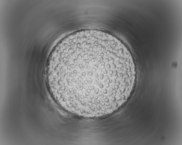 X0000112931040200910051127