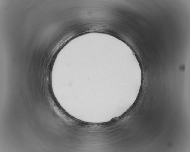 X0000112931042200910051127