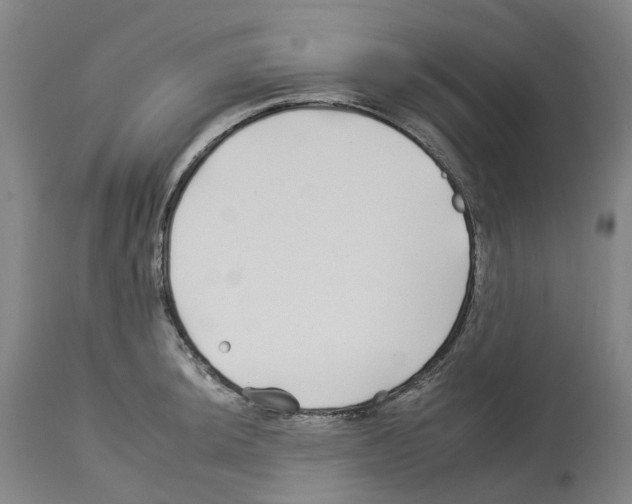 X0000112931044200910051127