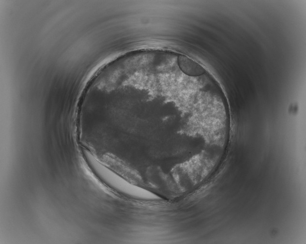 X0000112931045200910051127