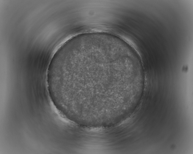 X0000112931047200910051127