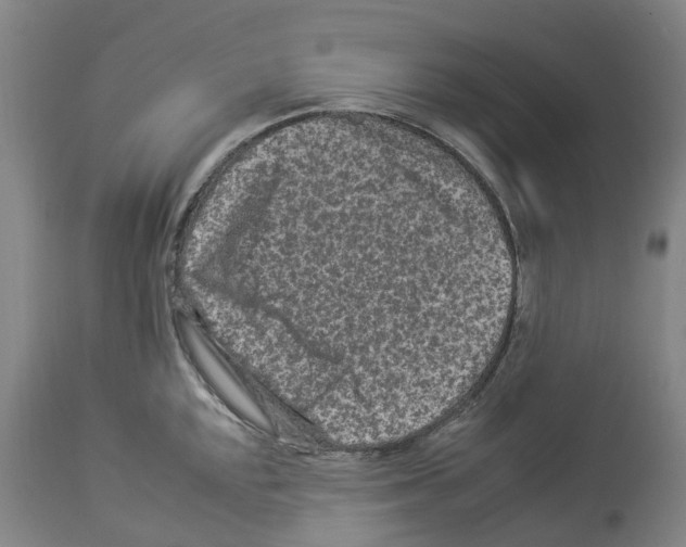 X0000112931048200910051127