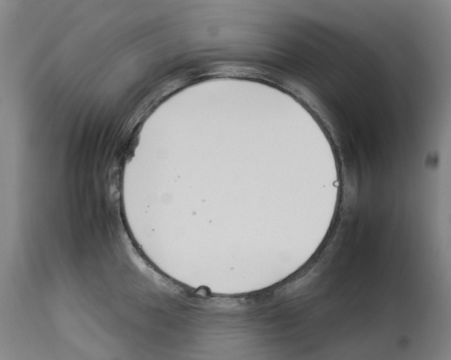 X0000112931049200910051127
