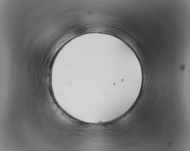 X0000112931050200910051127