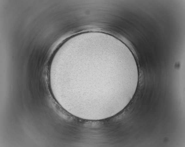 X0000112931051200910051127