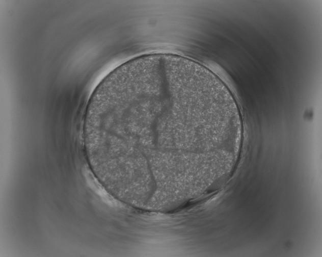 X0000112931052200910051127